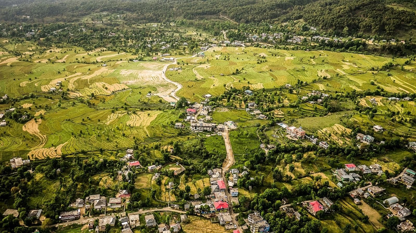 Terraced fields around Bir