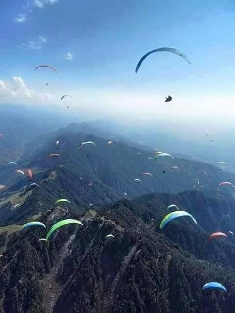 A sky filled with paragliders