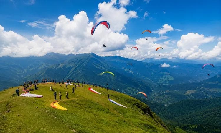 Paragliders preparing on a green launch ridge